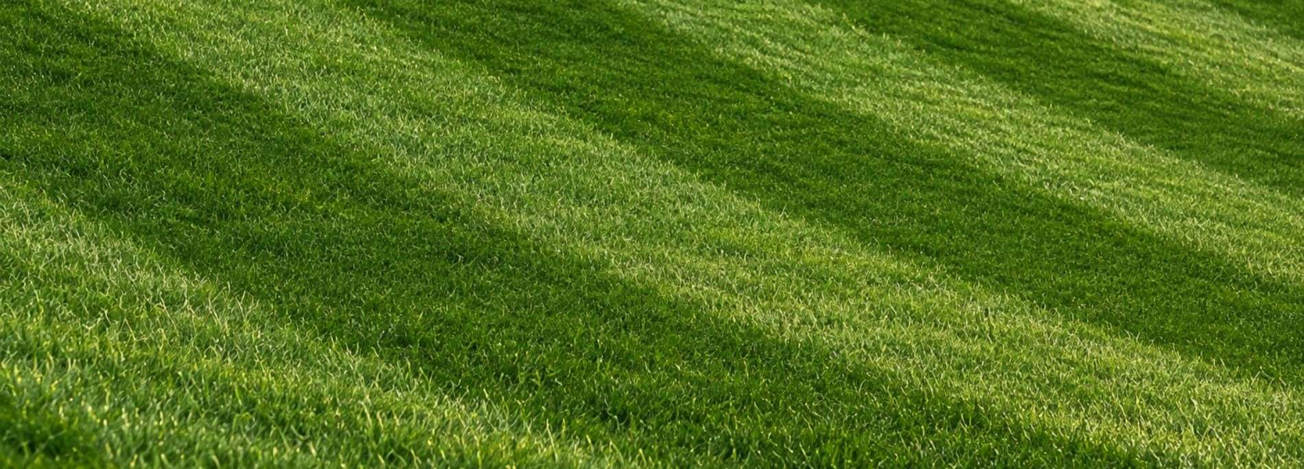 Common Area Improvement Services Near Me